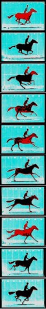 muybridge-8--pixels-10-frames-animate-v4.jpg